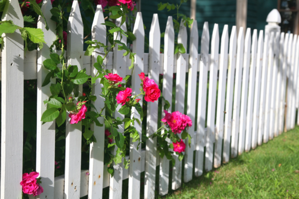 timber picket fencing and solar gates for driveways
